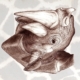 ClassicG0018 Rhino Collectors Print Size A4