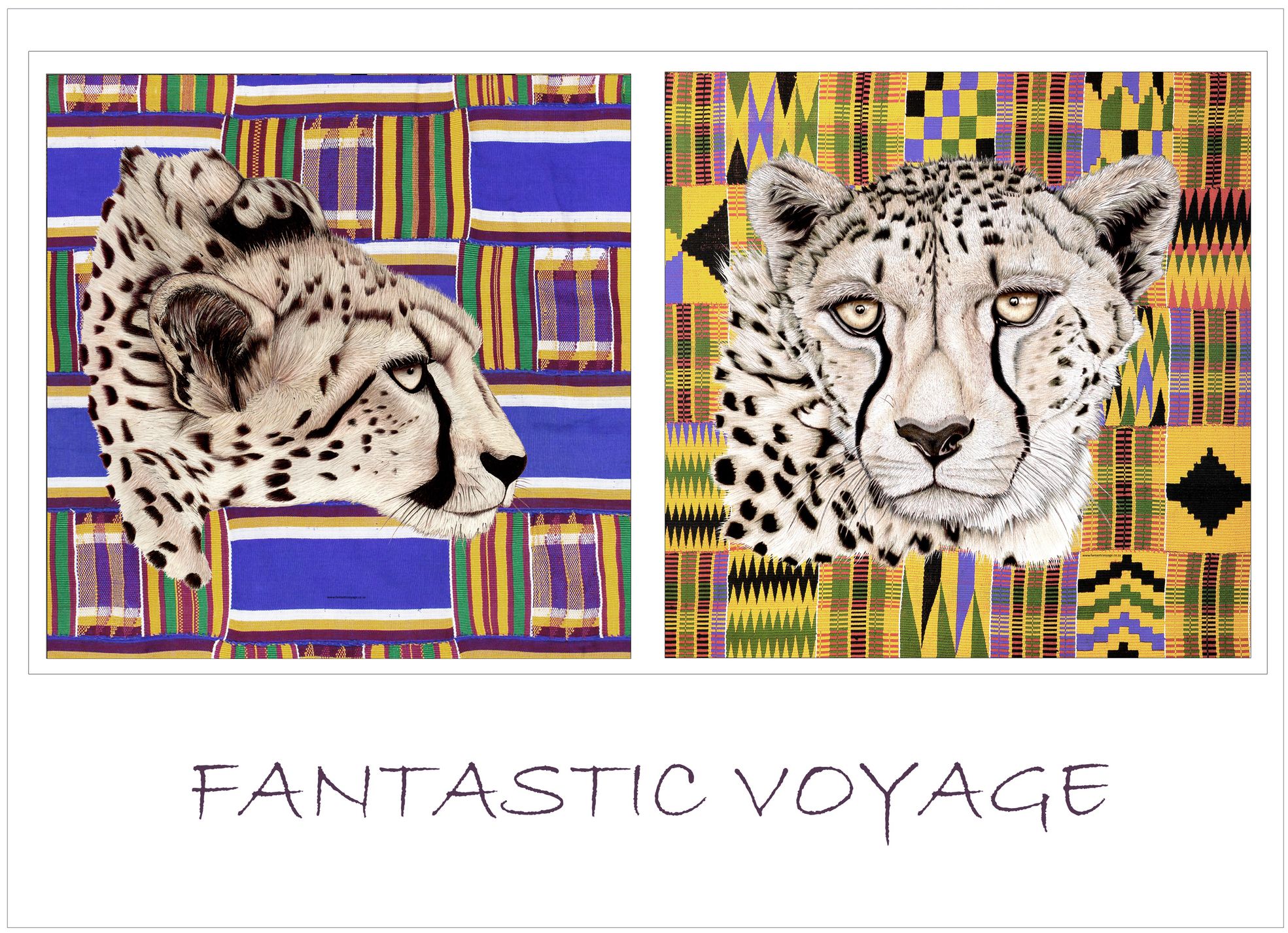 Fantastic Voyage