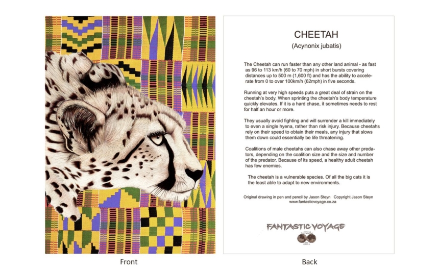 DesignerD010101 Cheetah Gift Card