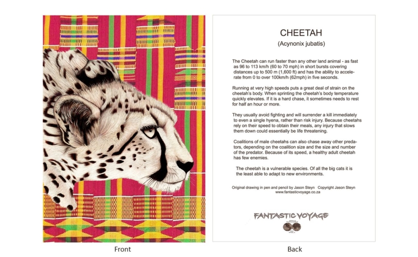 DesignerD010102 Cheetah Gift Card