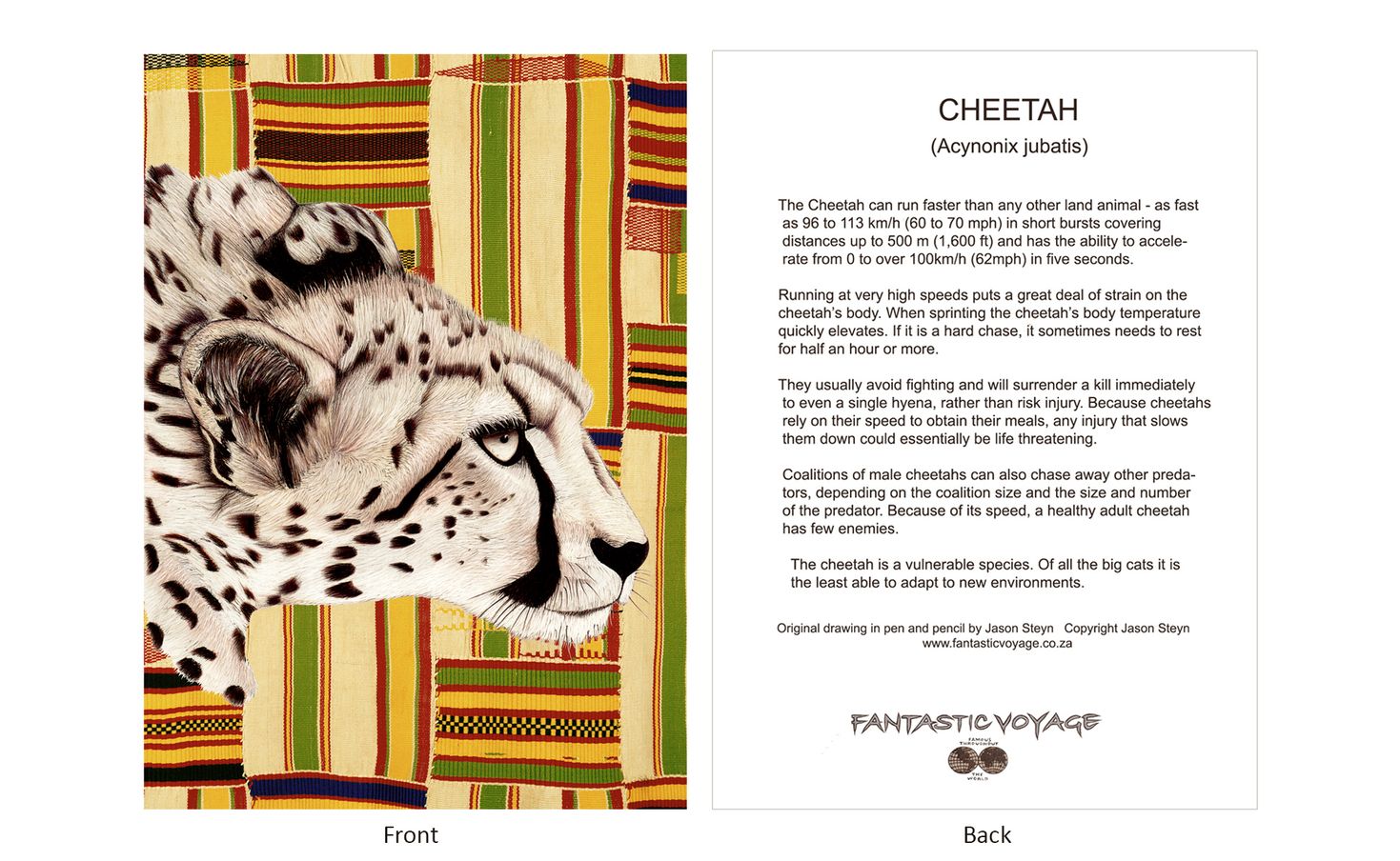 DesignerD010103 Cheetah Gift Card