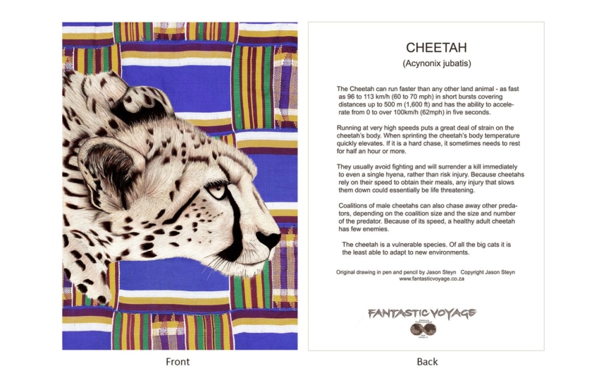 DesignerD010104 Cheetah Gift Card