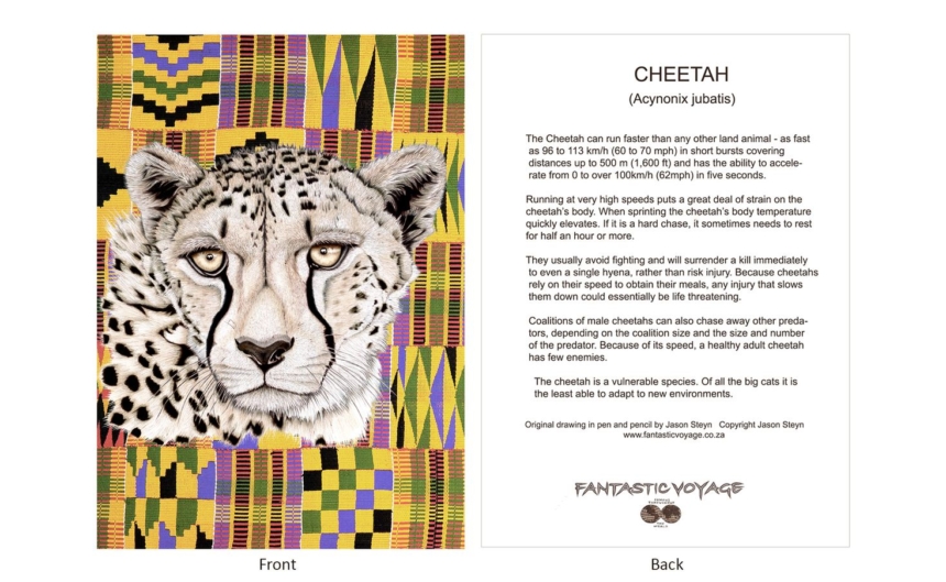 DesignerD010201 Cheetah Gift Card
