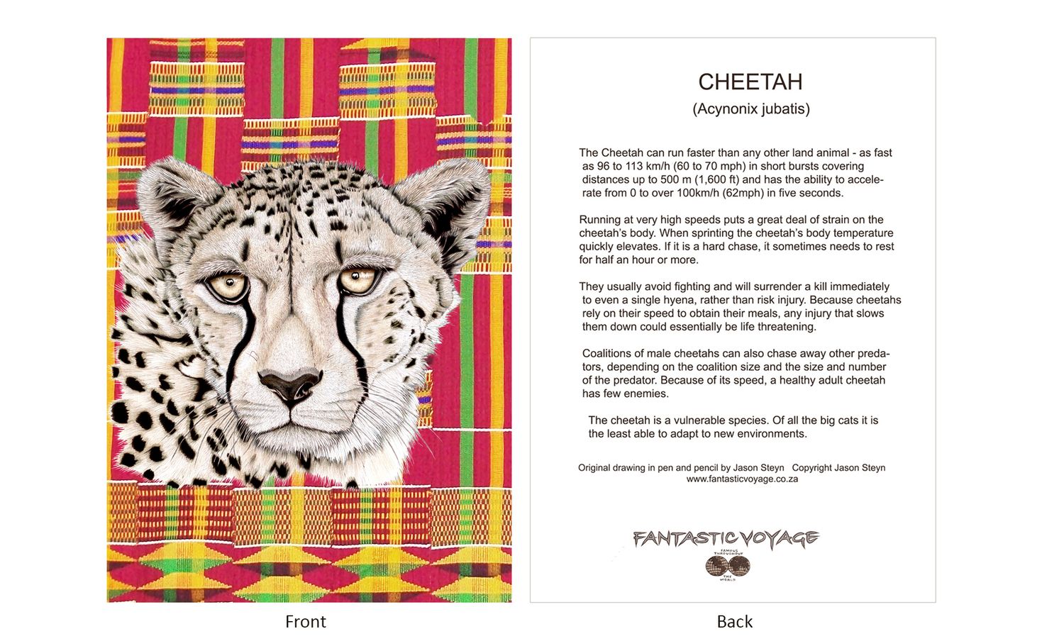 ignerD010202 Cheetah Gift Card