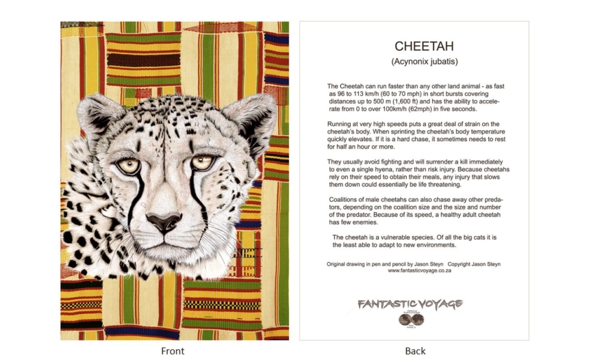 DesignerD010203 Cheetah Gift Card