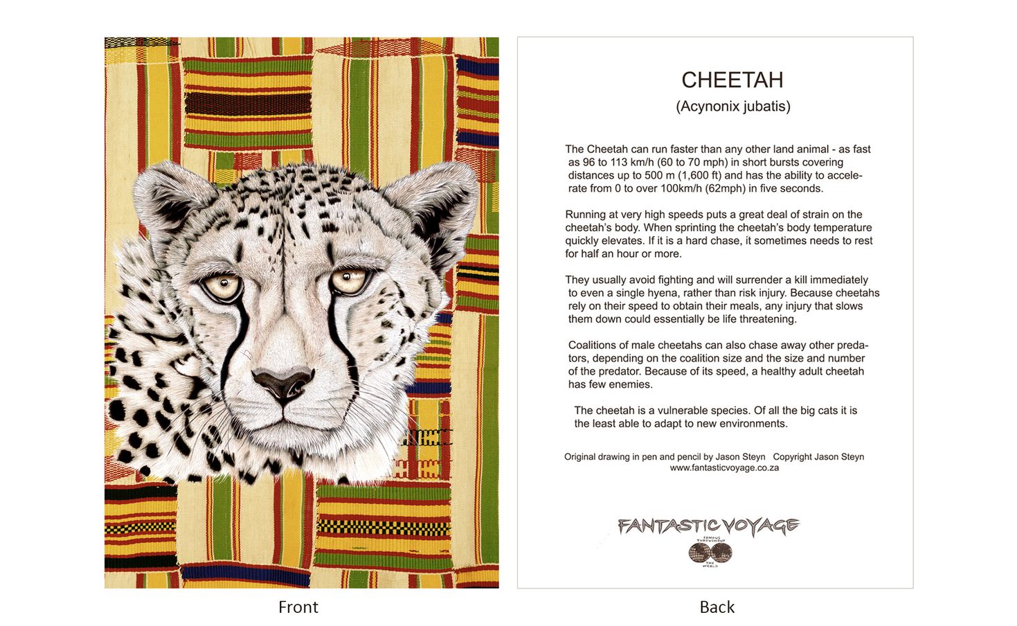 DesignerD010203 Cheetah Gift Card