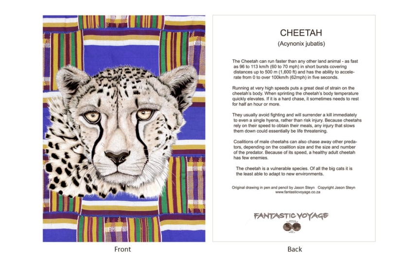 DesignerD010204 Cheetah Gift Card