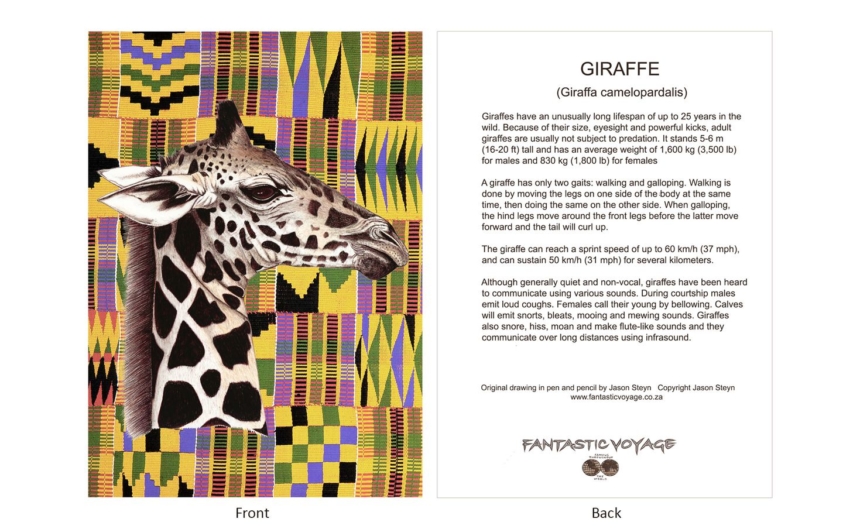 DesignerD020101 Giraffe Gift Card