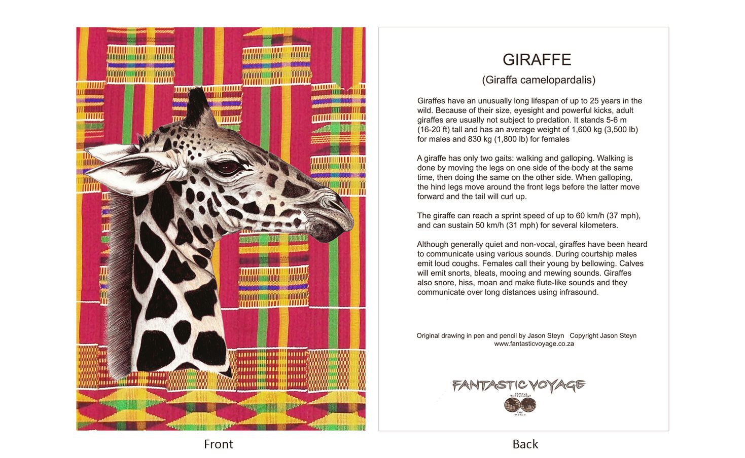 DesignerD020102 Giraffe Gift Card