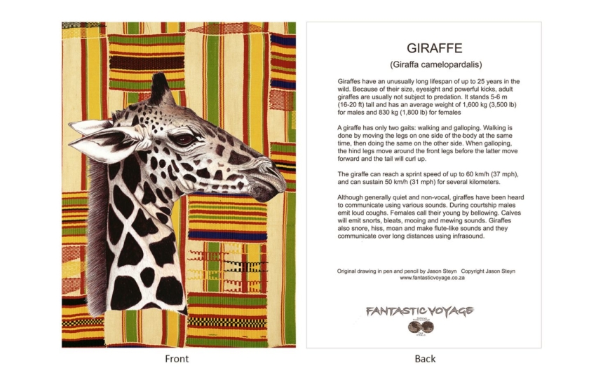 DesignerD020103 Giraffe Gift Card