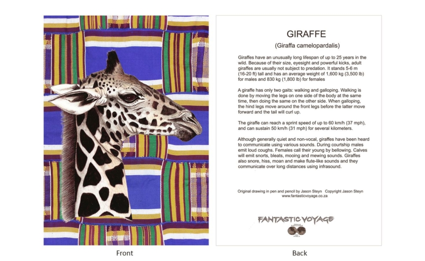DesignerD020104 Giraffe Gift Card