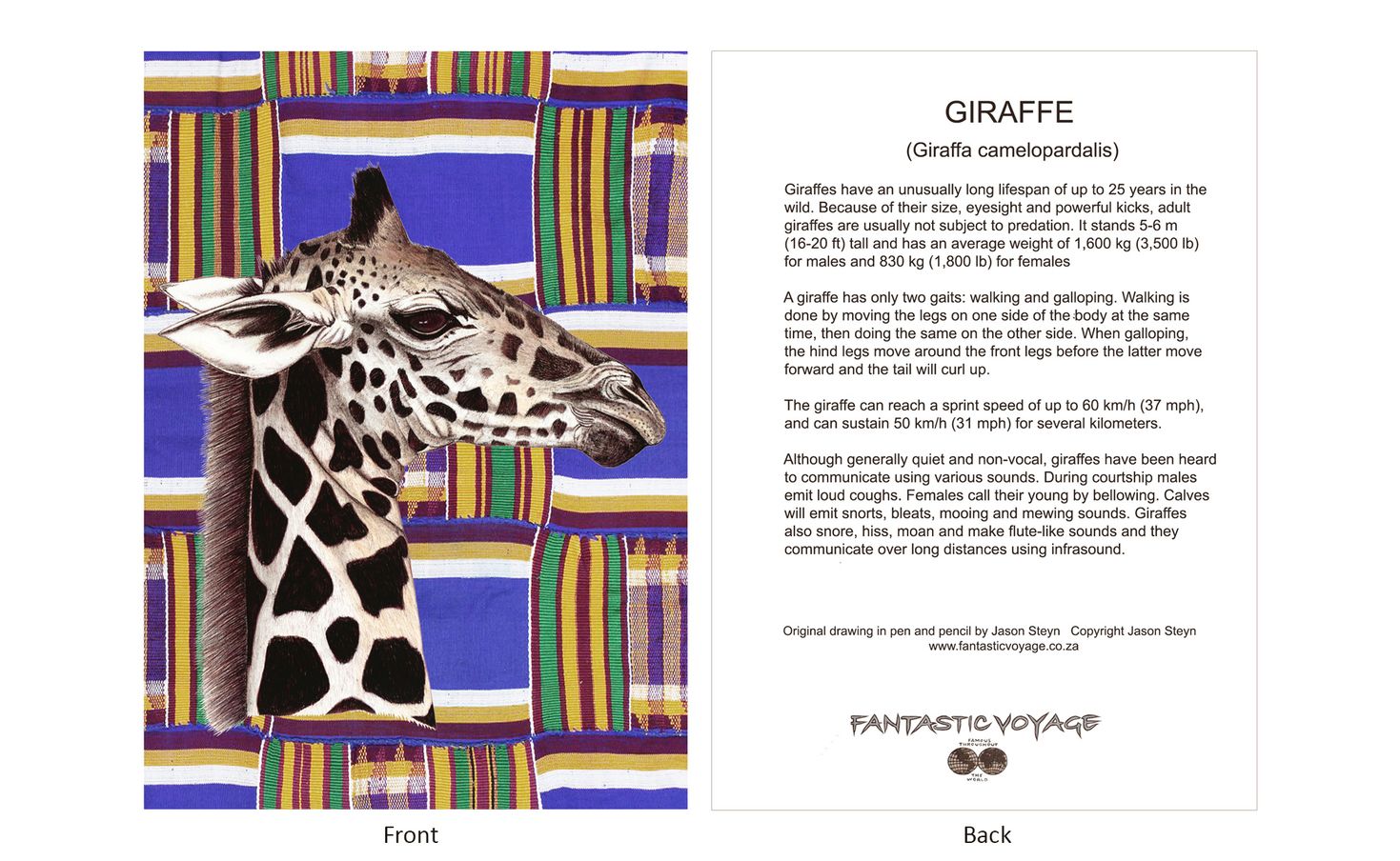 DesignerD020104 Giraffe Gift Card