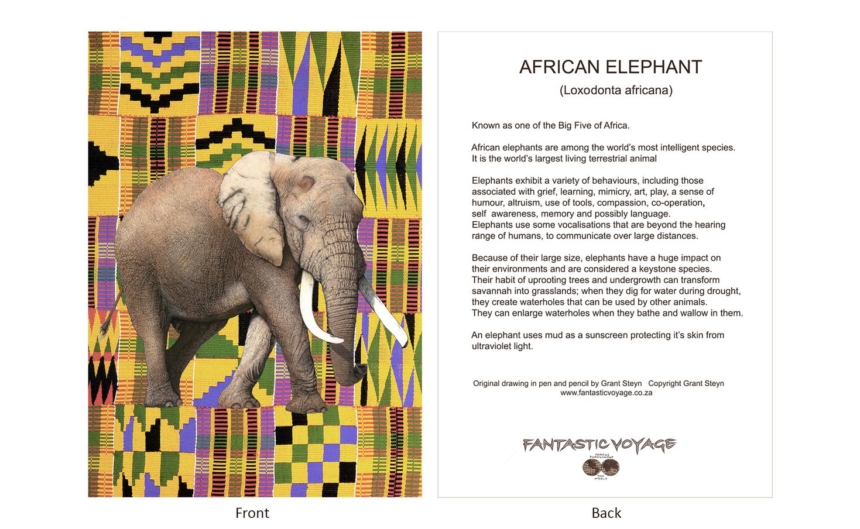 DesignerD030101 Elephant Gift Card