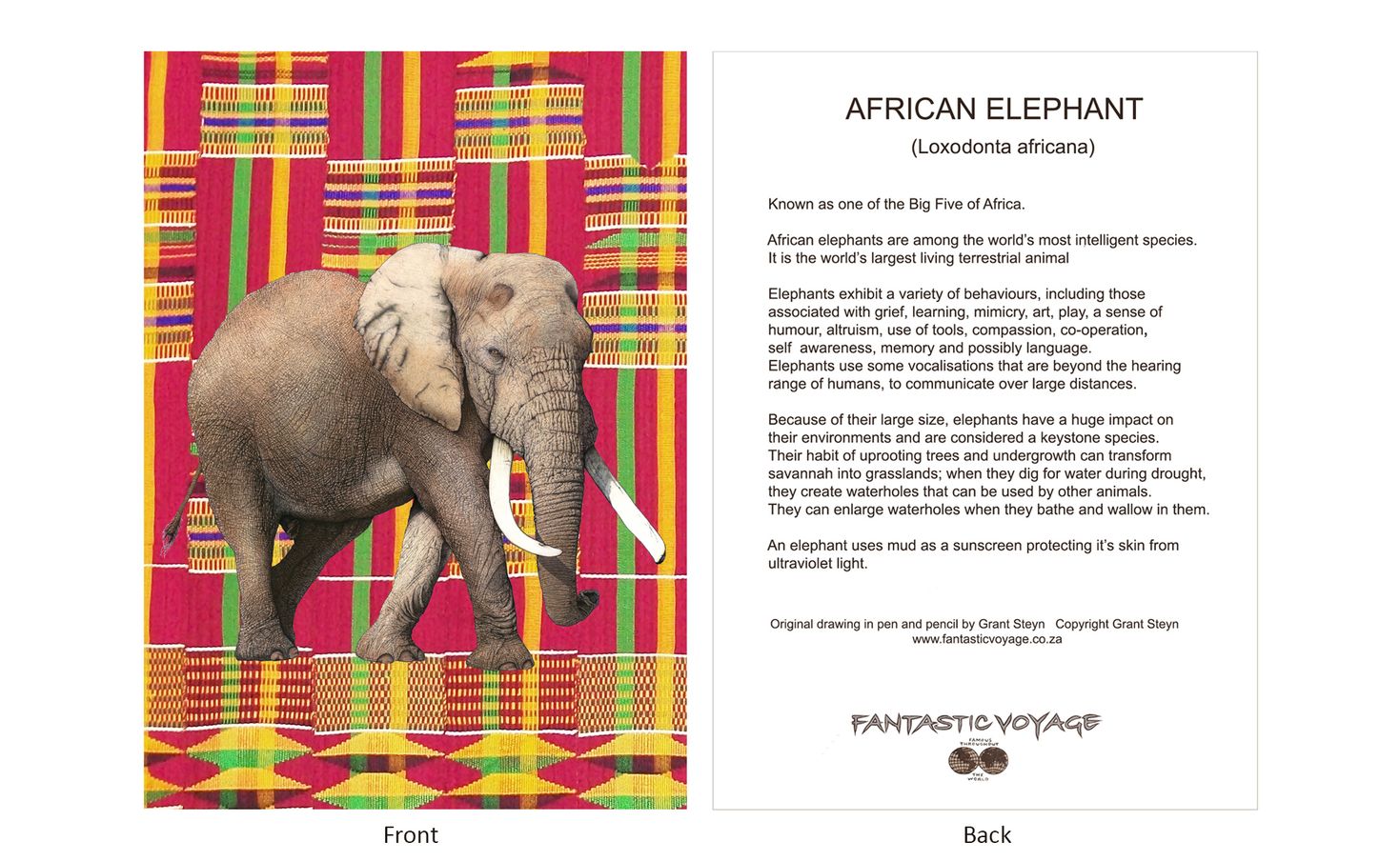 DesignerD030102 Elephant Gift Card