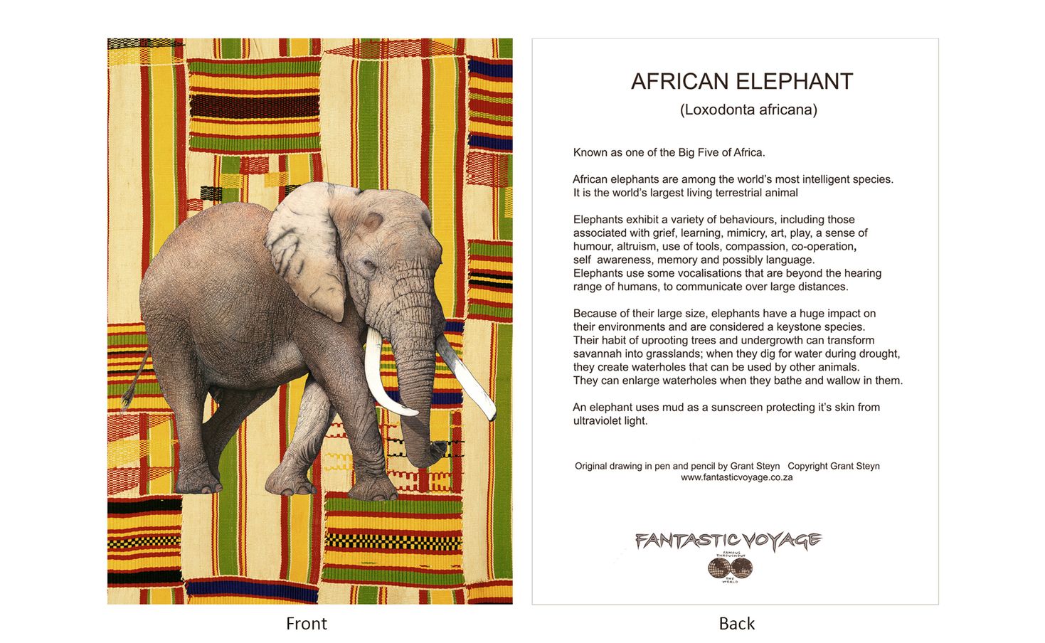 DesignerD030103 Elephant Gift Card