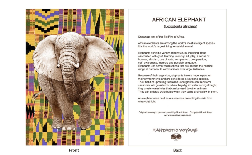 DesignerD030201 Elephant Gift Card
