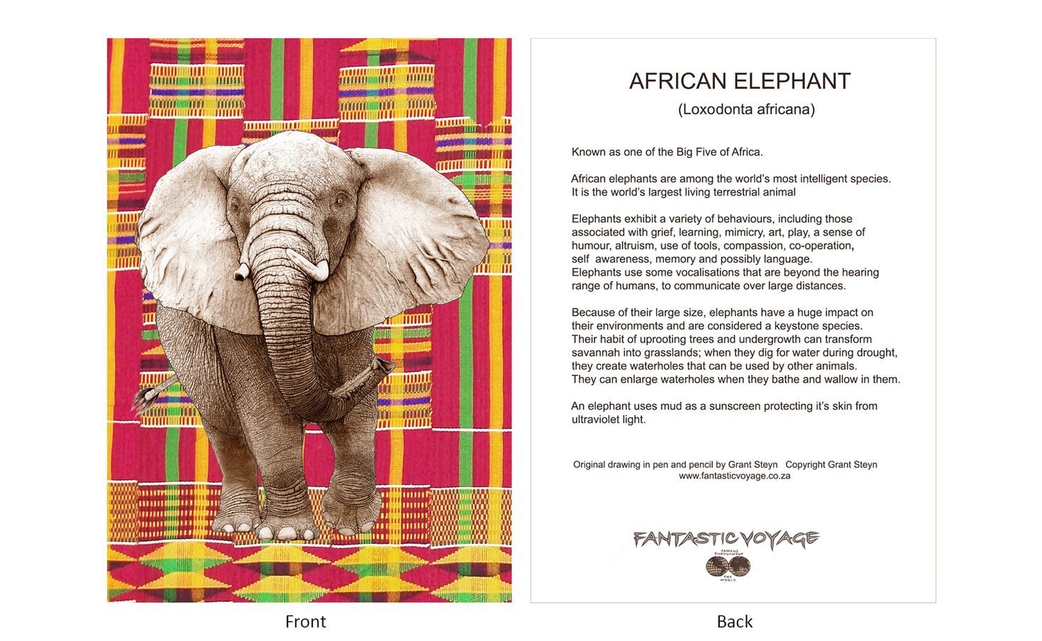 DesignerD030202 Elephant Gift Card