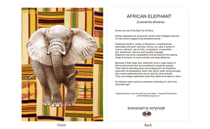 DesignerD030203 Elephant Gift Card