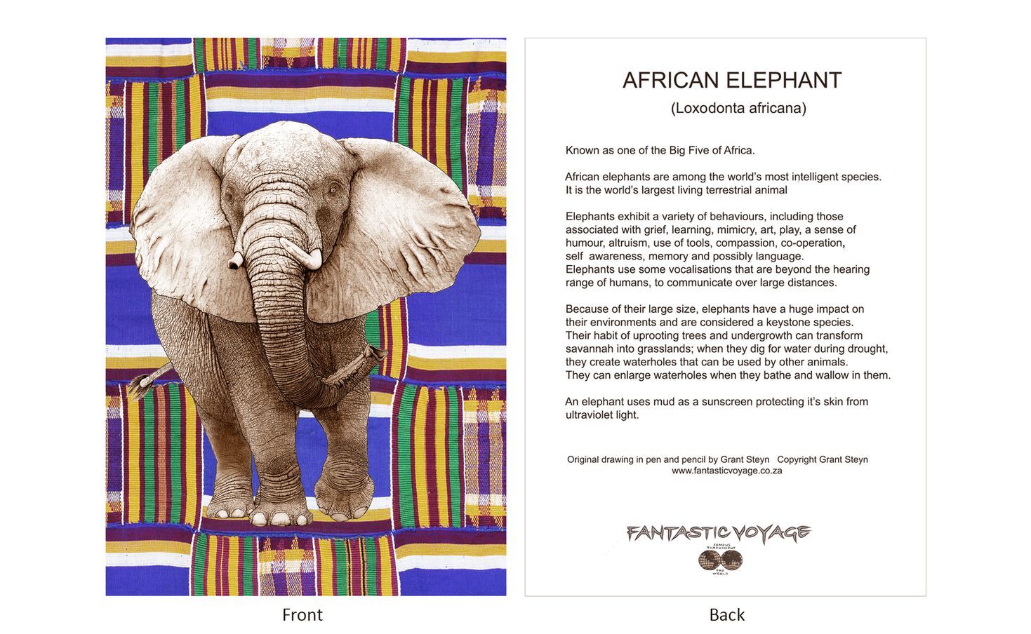 DesignerD030204 Elephant Gift Card