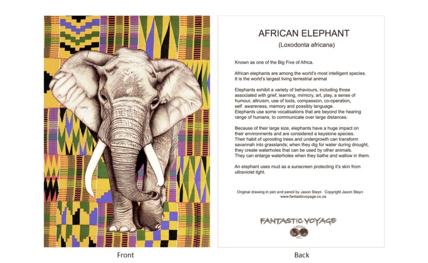 DesignerD030301 Elephant Gift Card
