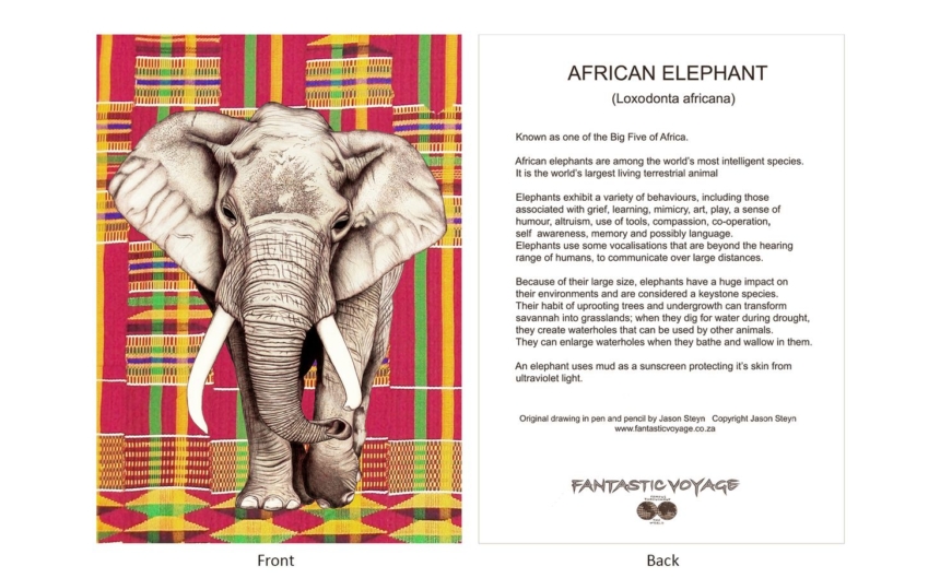 DesignerD030302 Elephant Gift Card