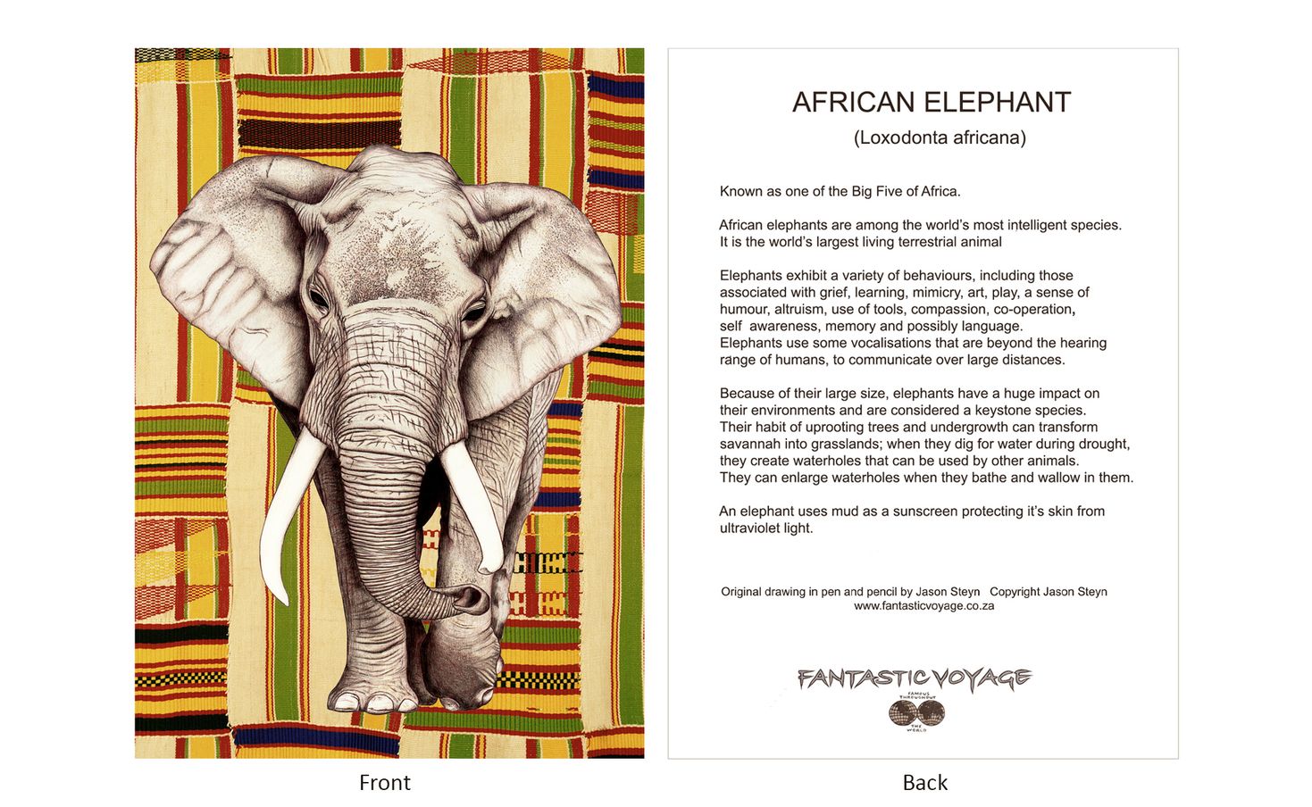DesignerD030303 Elephant Gift Card