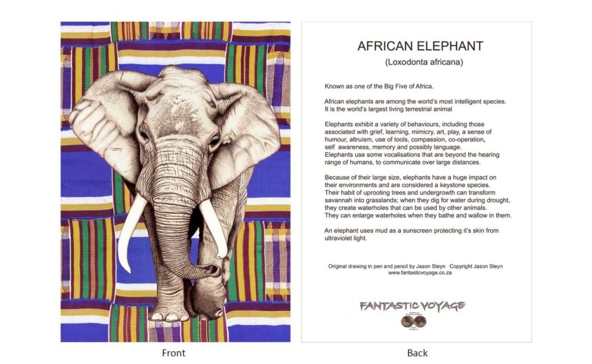 DesignerD030304 Elephant Gift Card