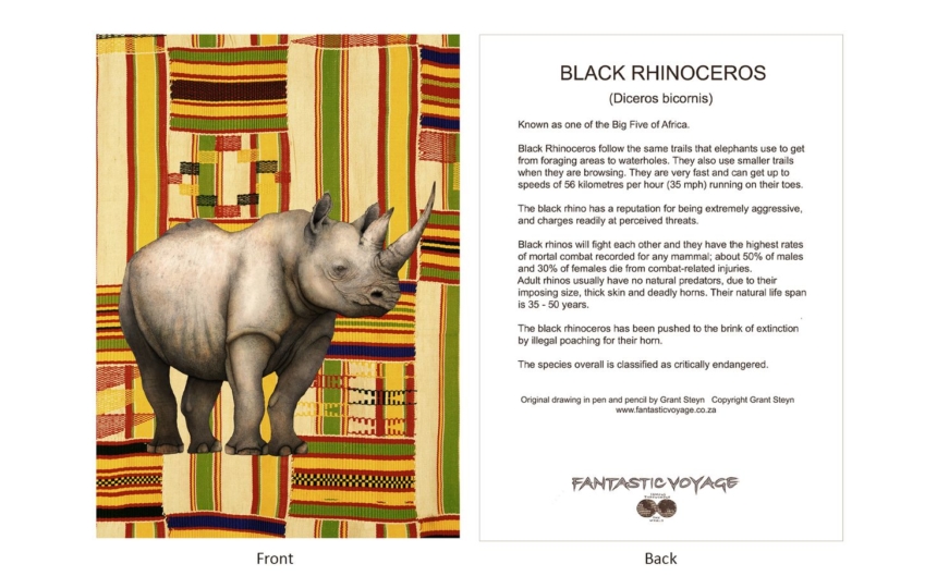 DesignerD040103 Rhino Gift Card