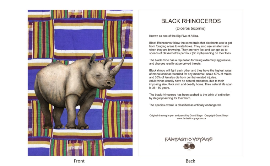 DesignerD040104 Rhino Gift Card