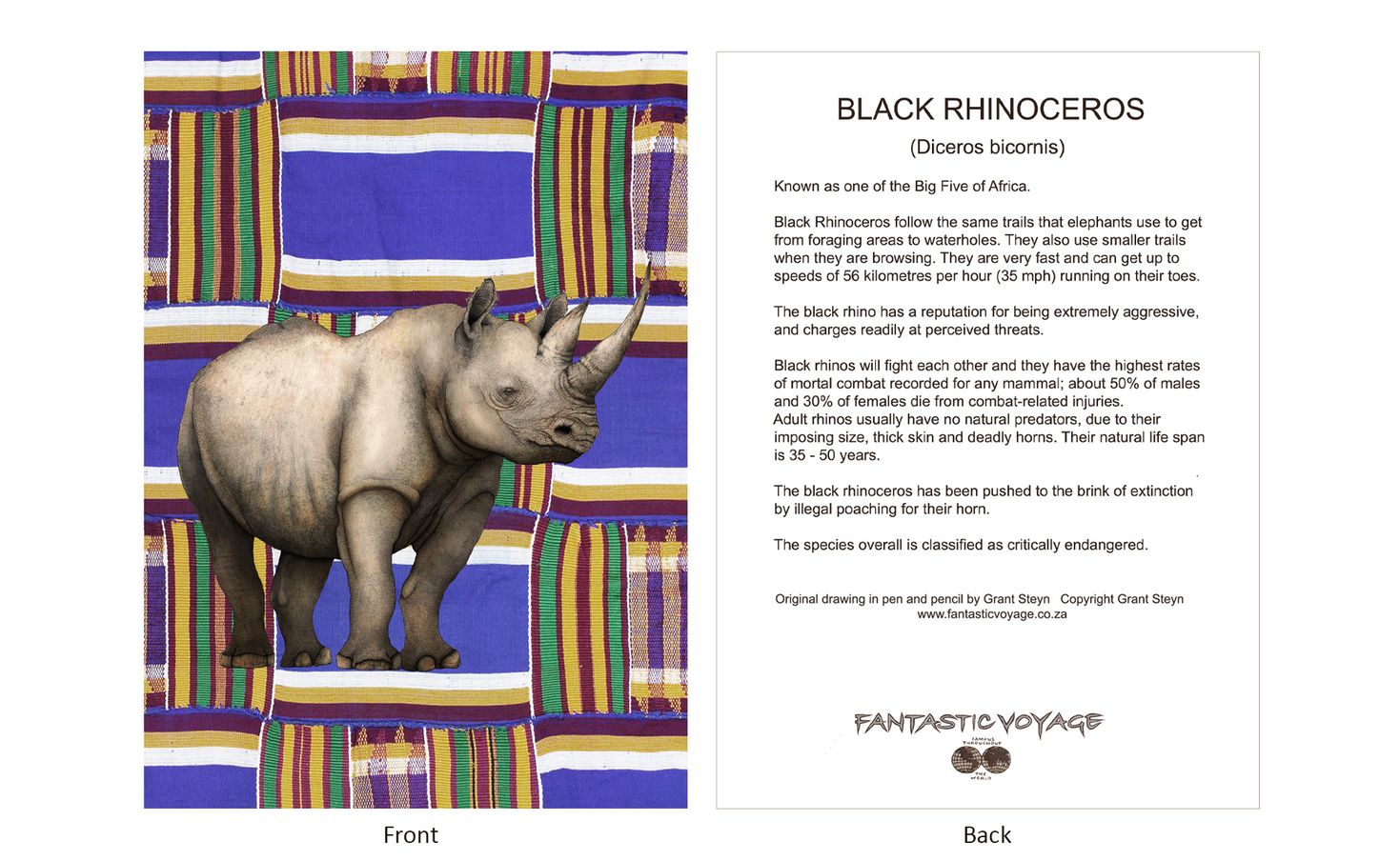 DesignerD040104 Rhino Gift Card