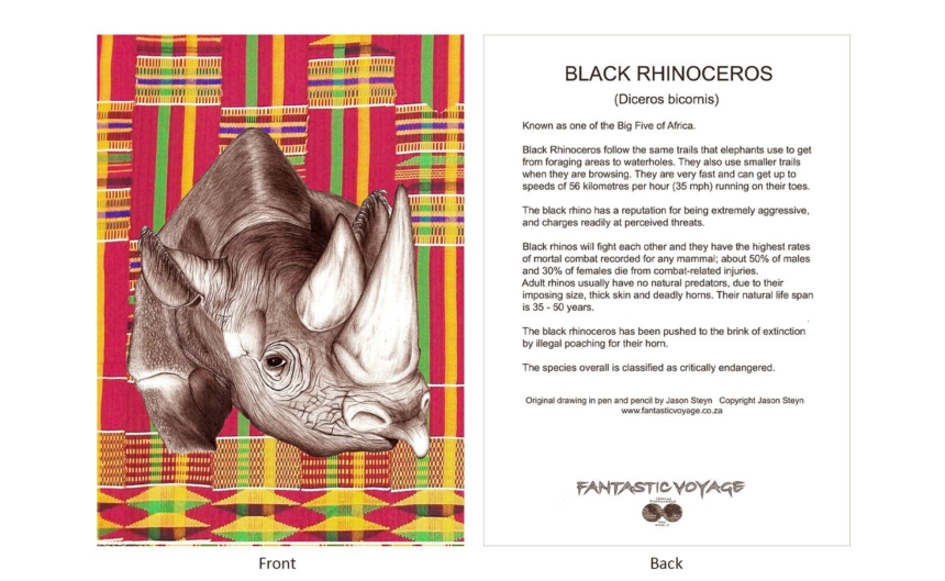DesignerD040202 Rhino Gift Card