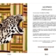 DesignerD050203 Leopard Gift Card