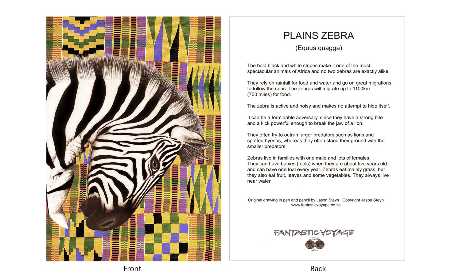 DesignerD060101 Zebra Gift Card