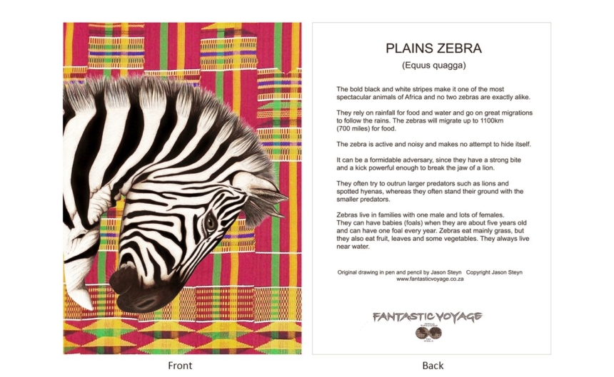 DesignerD060102 Zebra Gift Card