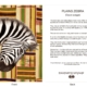 DesignerD060103 Zebra Gift Card