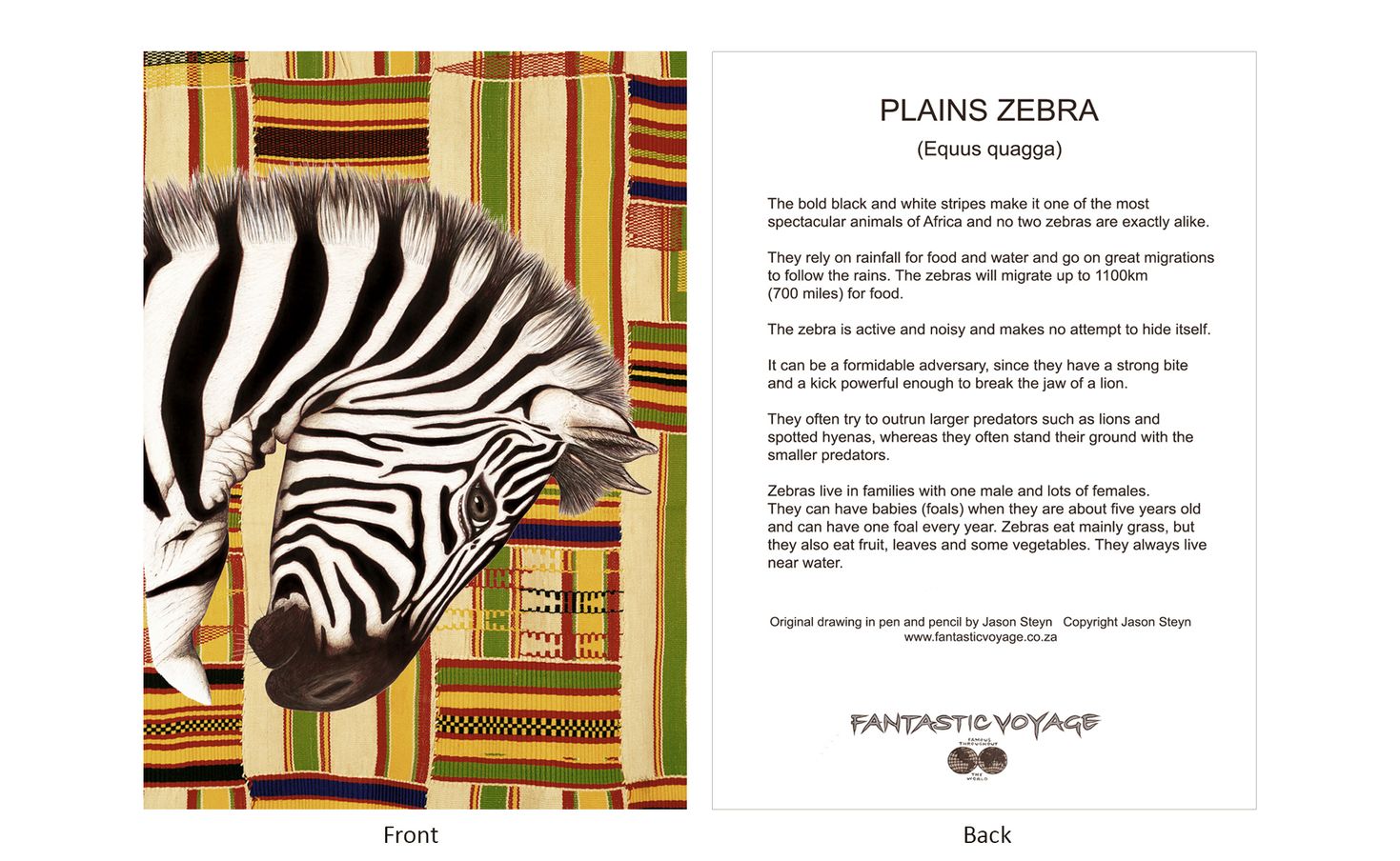 DesignerD060103 Zebra Gift Card