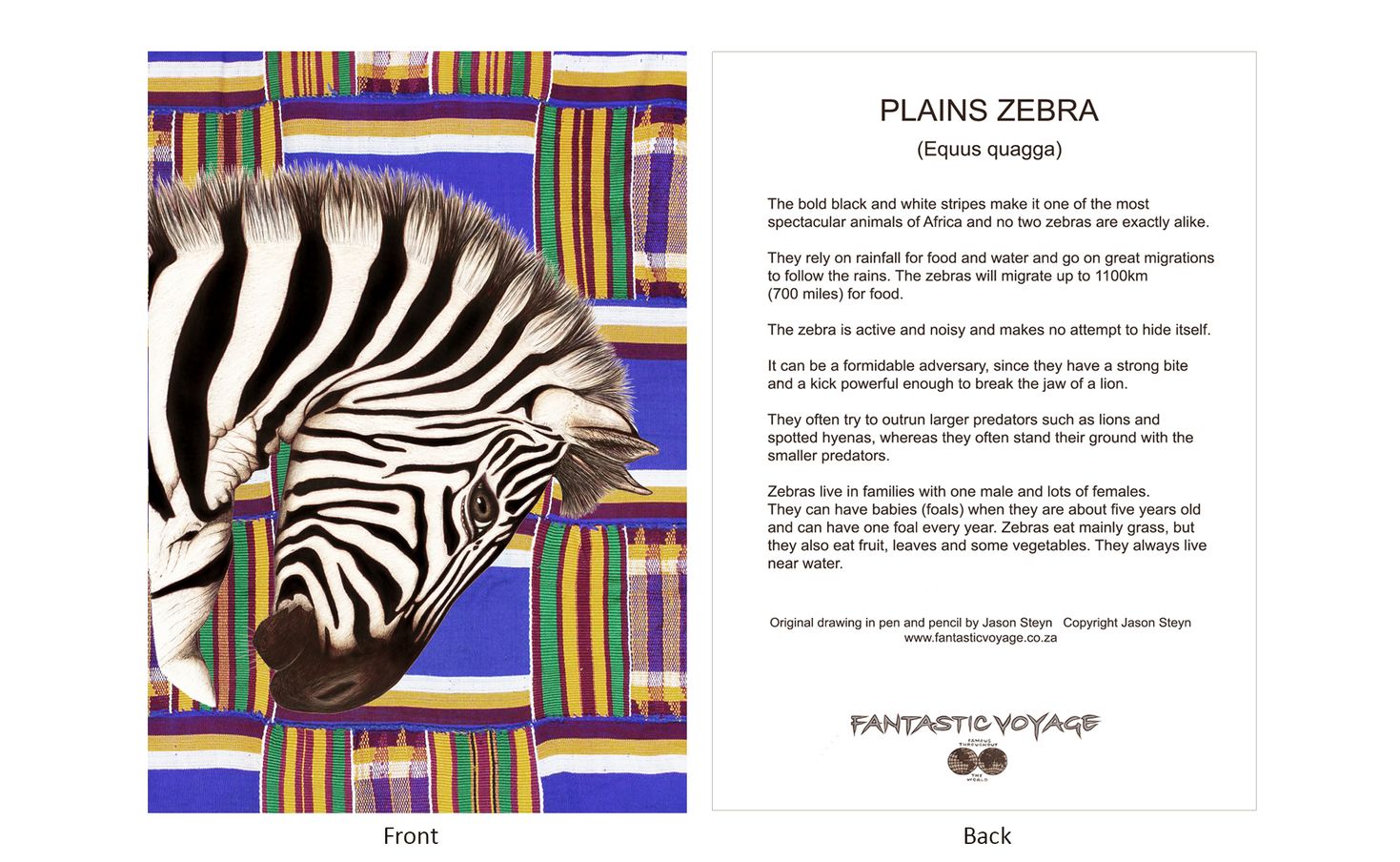 DesignerD060104 Zebra Gift Card