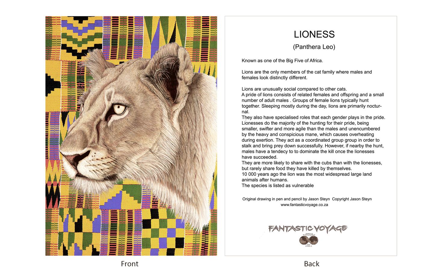 DesignerD070101 Lioness Gift Card