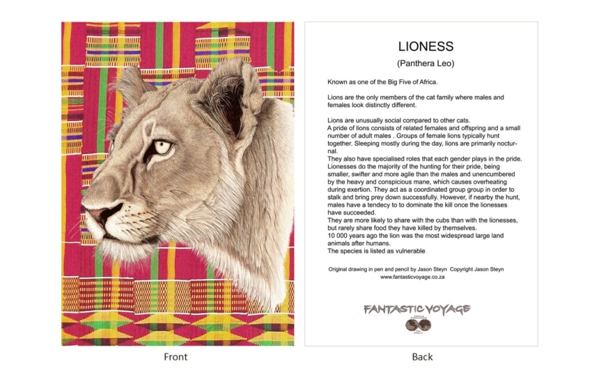 DesignerD070102 Lioness Gift Card