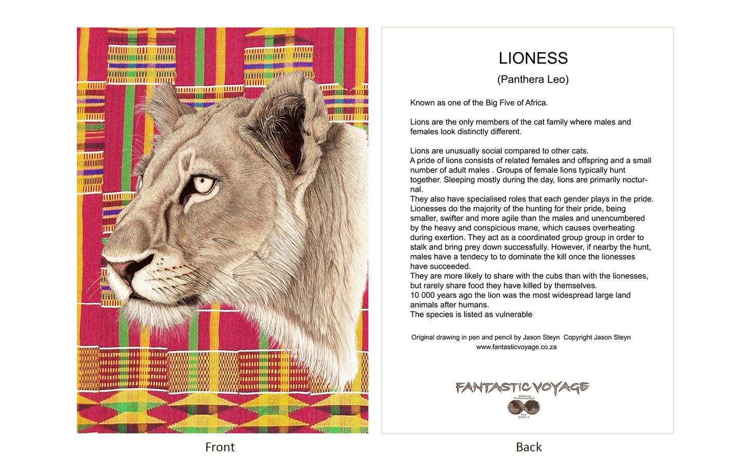 DesignerD070102 Lioness Gift Card