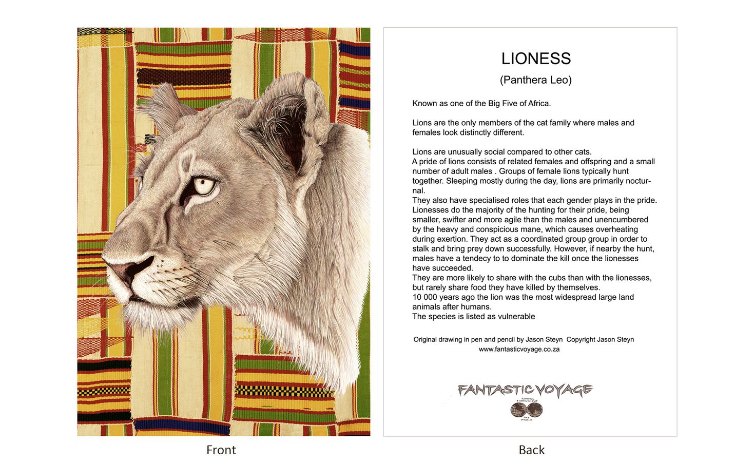DesignerD070103 Lioness Gift Card