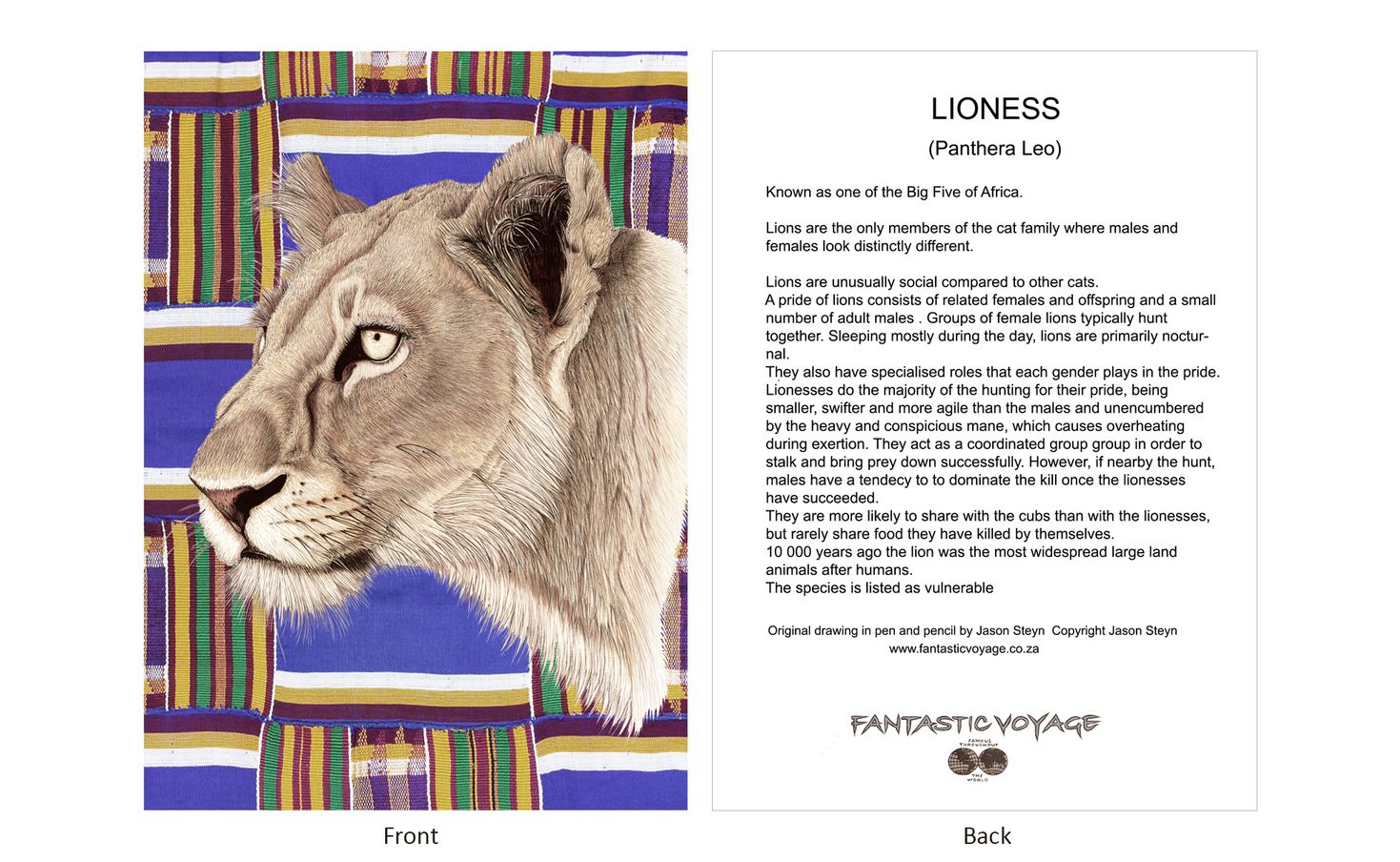 DesignerD070104 Lioness Gift Card
