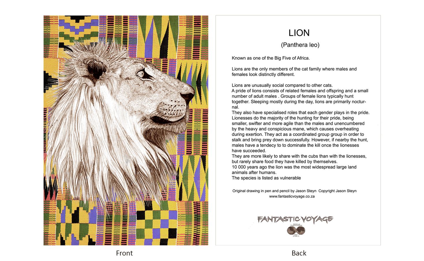 esignerD080201 Lion Gift Card