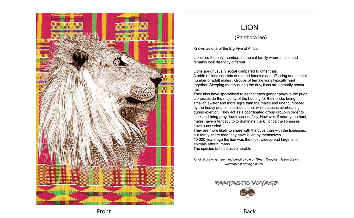 DesignerD080202 Lion Gift Card