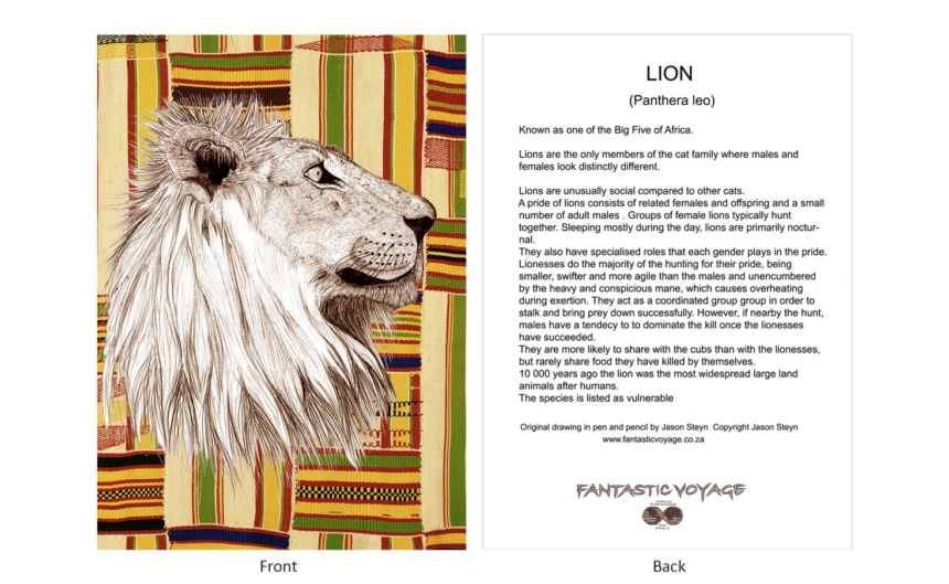 DesignerD080203 Lion Gift Card