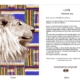 DesignerD080204 Lion Gift Card