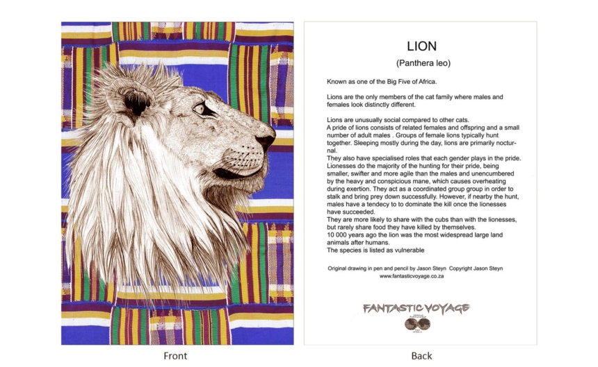 DesignerD080204 Lion Gift Card