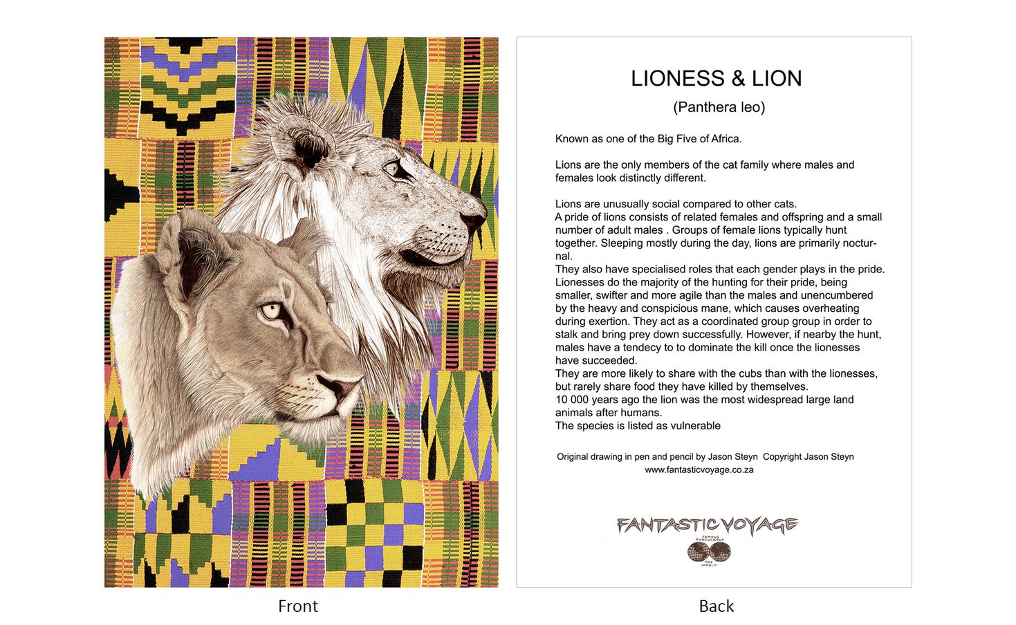 DesignerD090101 Lion Pair Gift Card