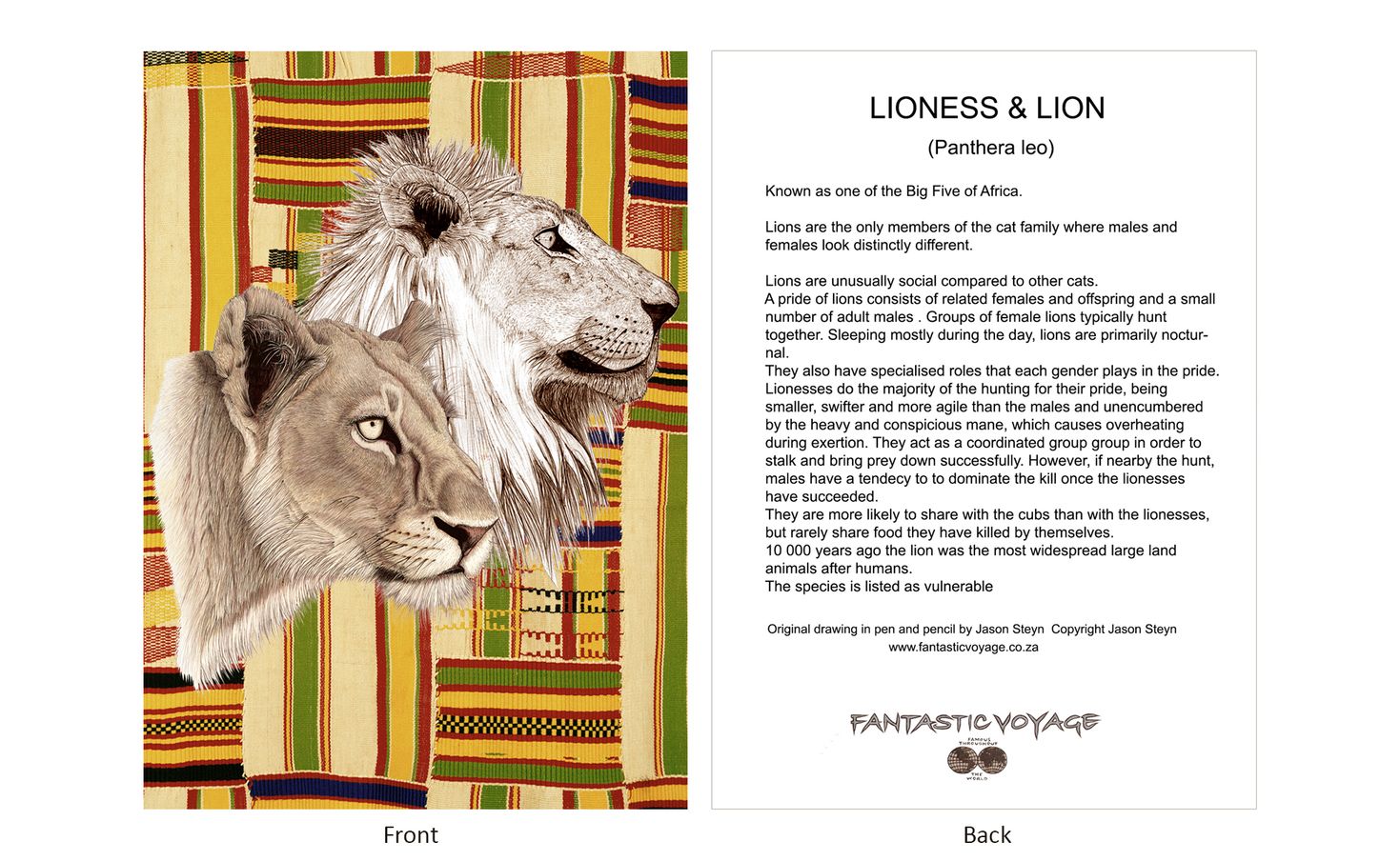 DesignerD090103 Lion Pair Gift Card