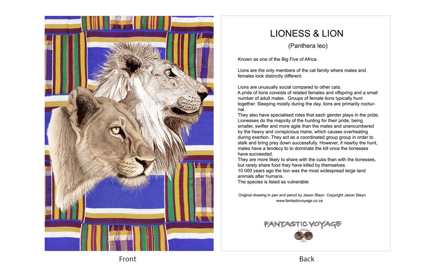 DesignerD090104 Lion Pair Gift Card